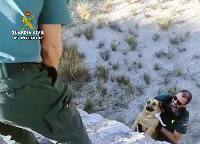 Guardia civil rescate perros