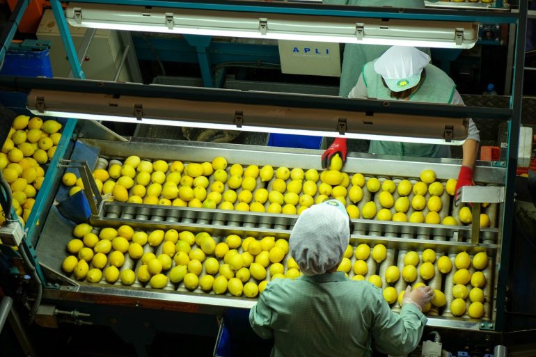 Fecoam reclama organizacion productiva y un plan de arranque voluntario para salvar el sector del limon